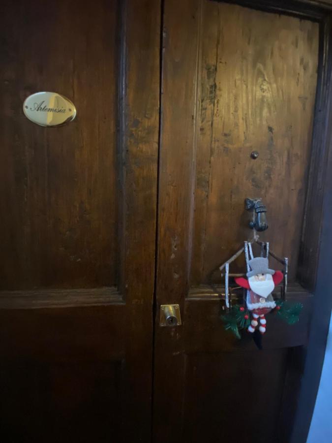 Artemisia Apartment Pisa Luaran gambar